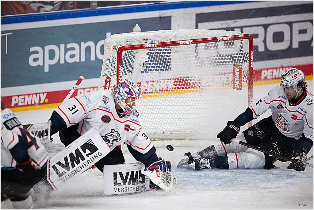 PENNY DEL 1; Kölner Haie - Nürnberg Ice Tigers; Köln, 25.01.2026