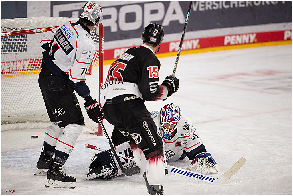 PENNY DEL 1; Kölner Haie - Nürnberg Ice Tigers; Köln, 25.01.2026
