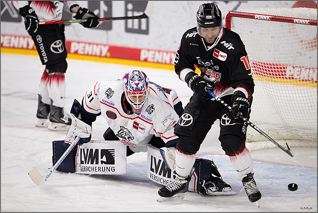 PENNY DEL 1; Kölner Haie - Nürnberg Ice Tigers; Köln, 25.01.2026