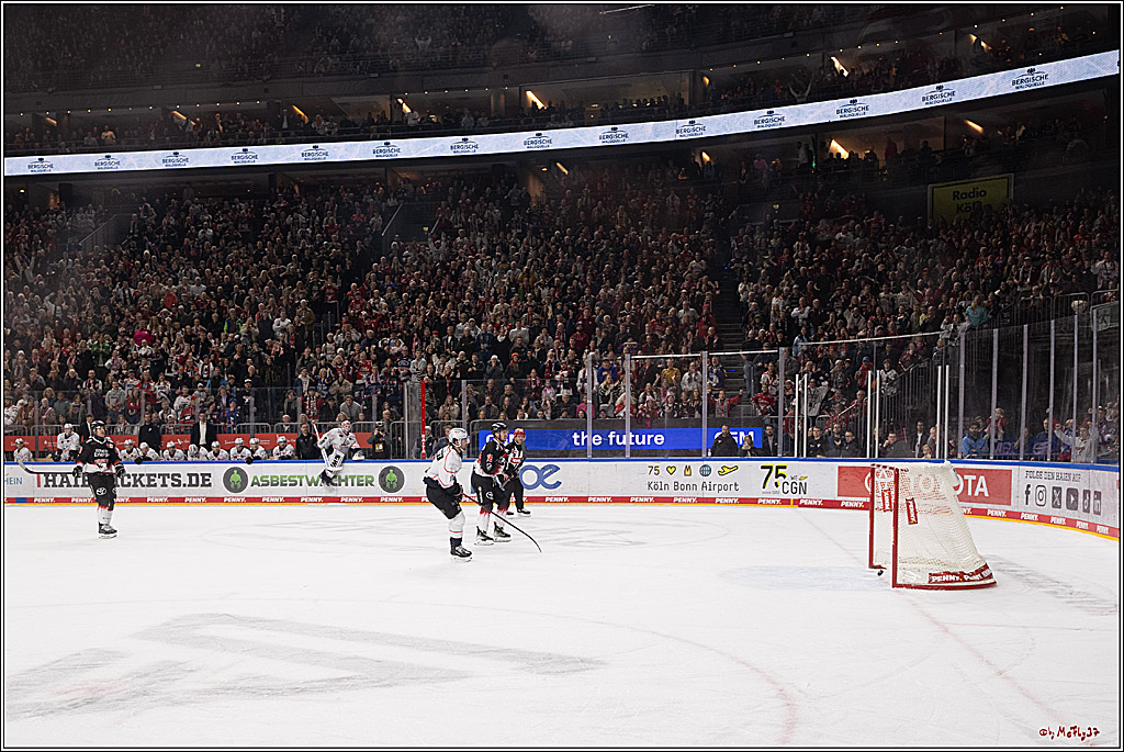PENNY DEL 1; Kölner Haie - Nürnberg Ice Tigers; Köln, 25.01.2026