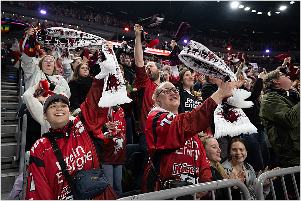 PENNY DEL 1; Kölner Haie - Nürnberg Ice Tigers; Köln, 25.01.2026