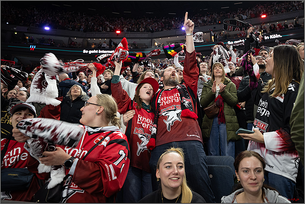 PENNY DEL 1; Kölner Haie - Nürnberg Ice Tigers; Köln, 25.01.2026
