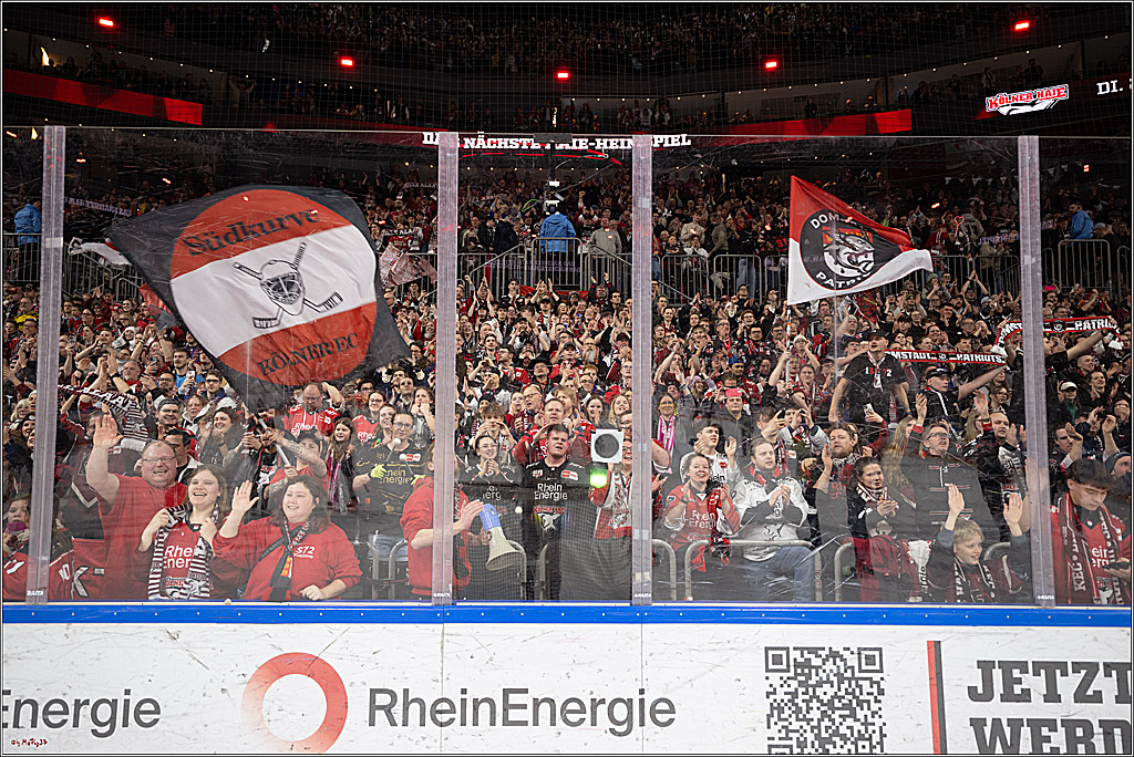 PENNY DEL 1; Kölner Haie - Nürnberg Ice Tigers; Köln, 25.01.2026