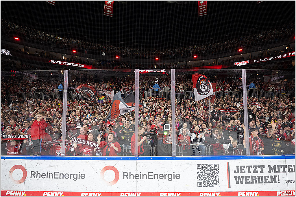 PENNY DEL 1; Kölner Haie - Nürnberg Ice Tigers; Köln, 25.01.2026