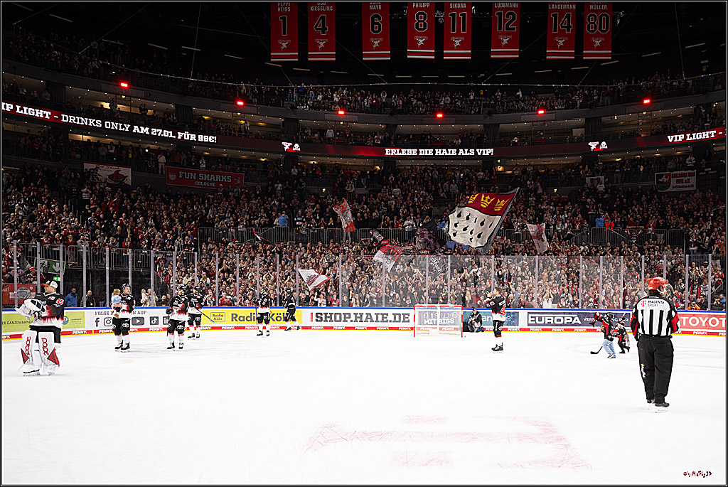 PENNY DEL 1; Kölner Haie - Nürnberg Ice Tigers; Köln, 25.01.2026