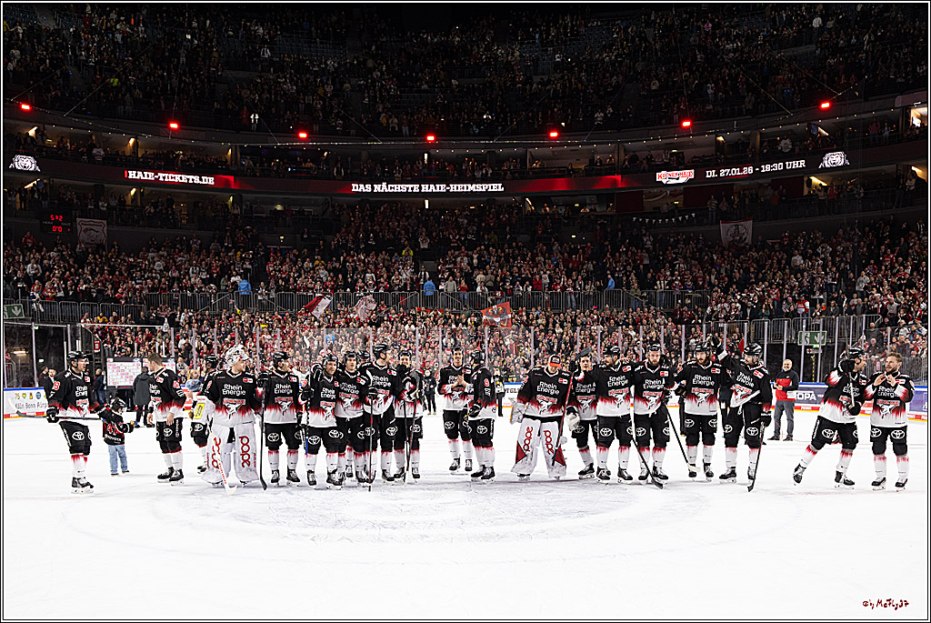 PENNY DEL 1; Kölner Haie - Nürnberg Ice Tigers; Köln, 25.01.2026