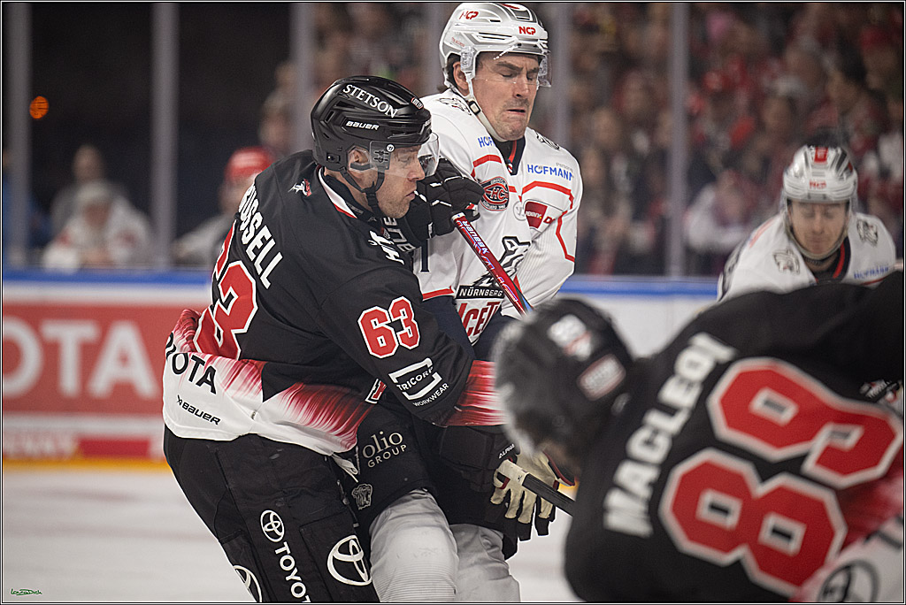 PENNY DEL 1; Kölner Haie - Nürnberg Ice Tigers; Köln, 25.01.2026