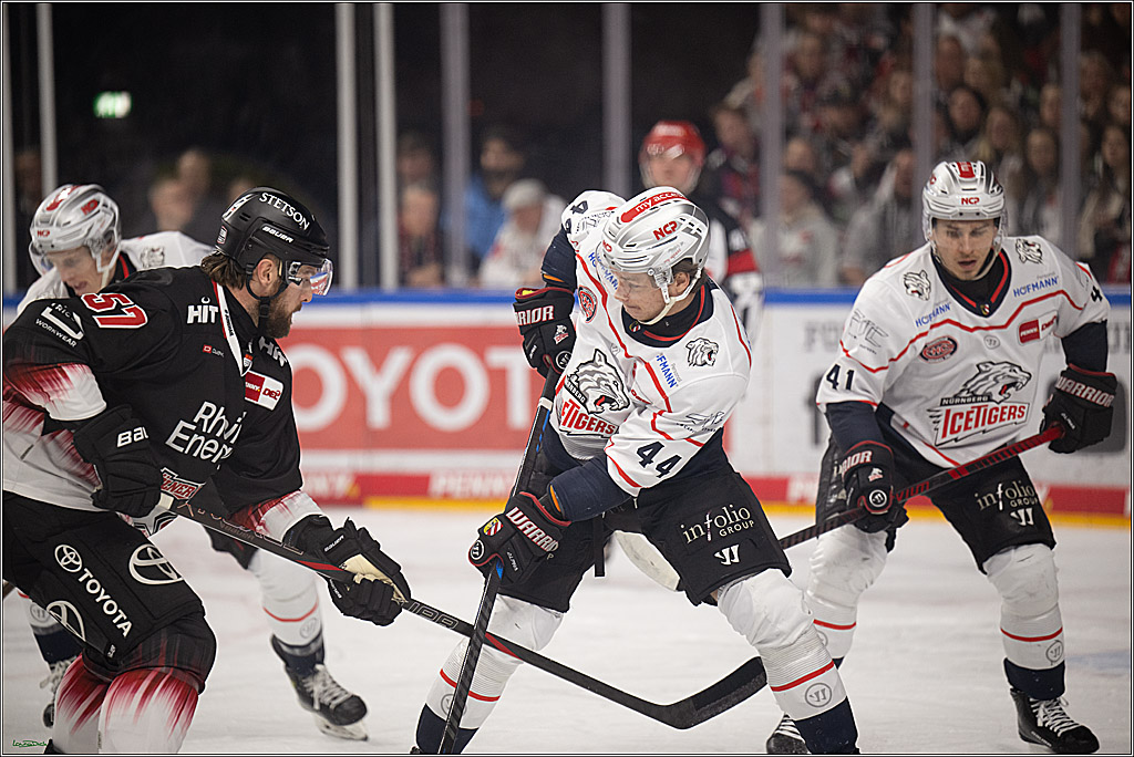 PENNY DEL 1; Kölner Haie - Nürnberg Ice Tigers; Köln, 25.01.2026
