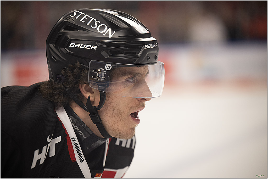 PENNY DEL 1; Kölner Haie - Nürnberg Ice Tigers; Köln, 25.01.2026