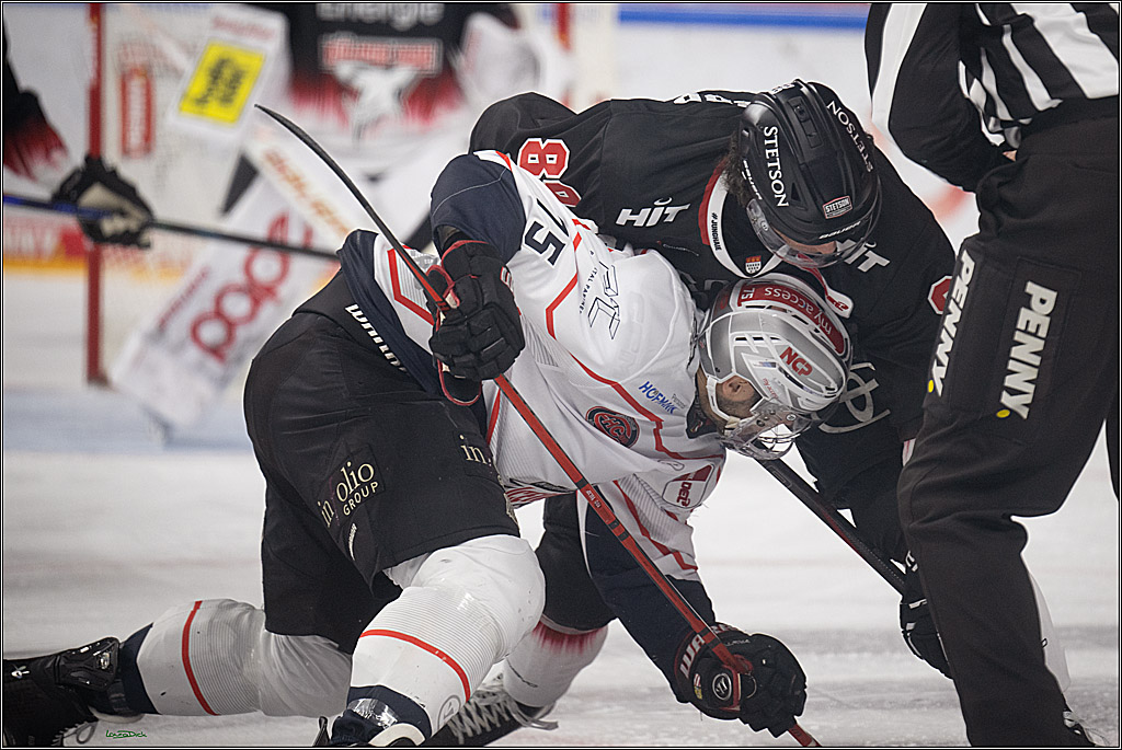 PENNY DEL 1; Kölner Haie - Nürnberg Ice Tigers; Köln, 25.01.2026