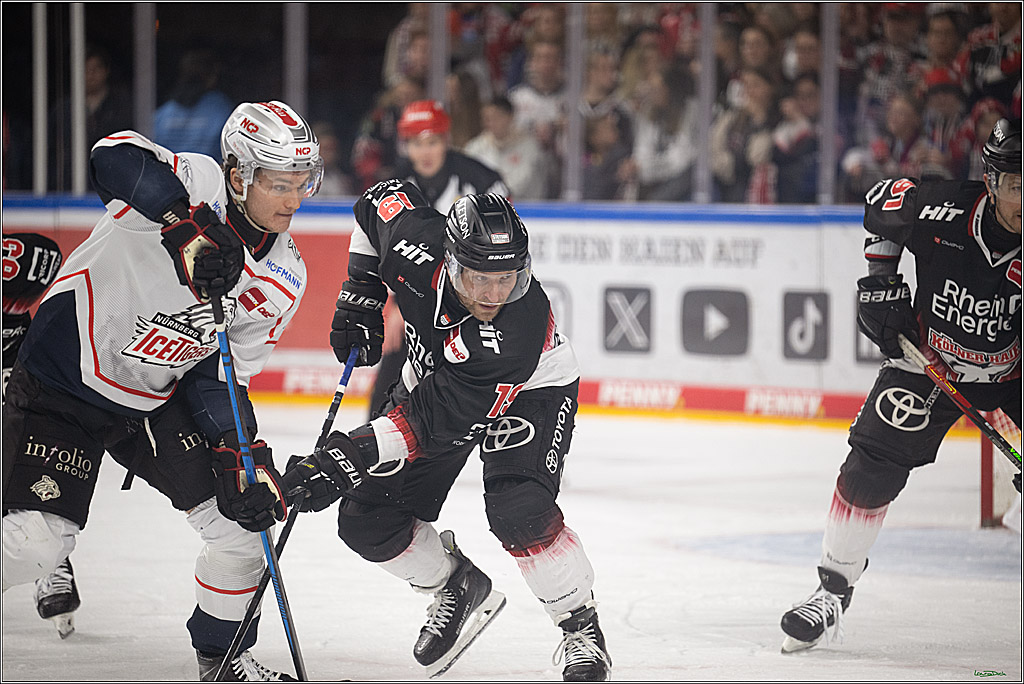 PENNY DEL 1; Kölner Haie - Nürnberg Ice Tigers; Köln, 25.01.2026