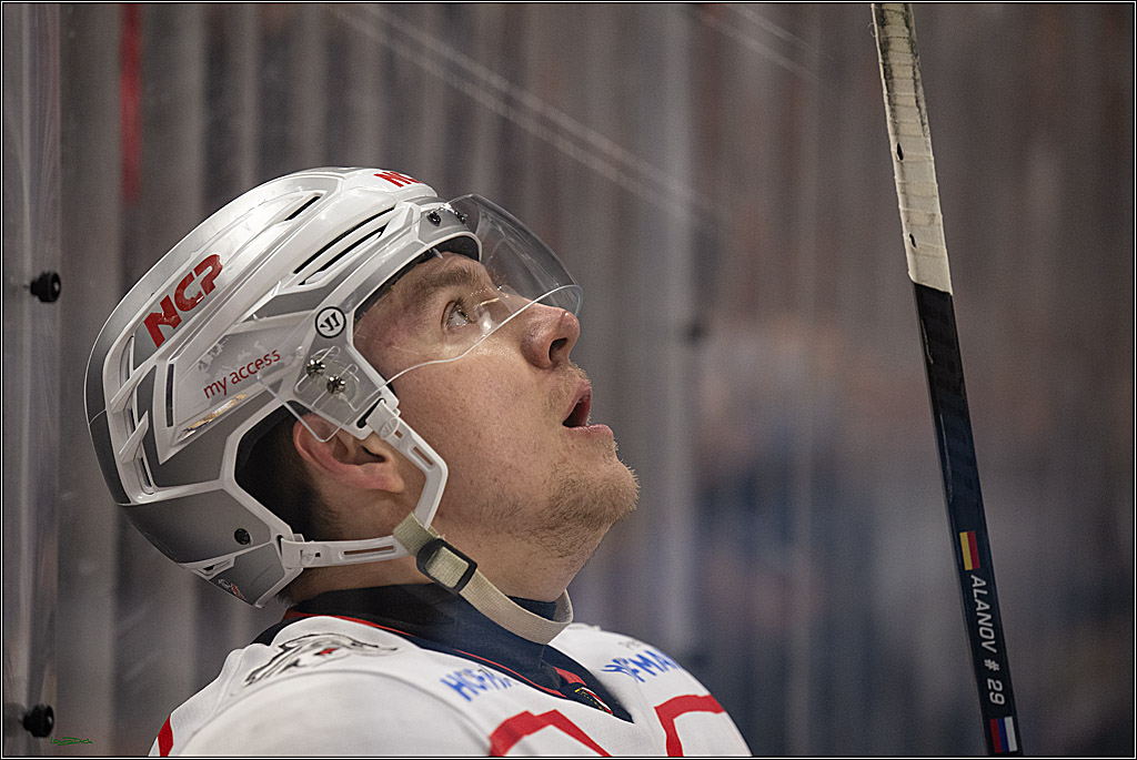 PENNY DEL 1; Kölner Haie - Nürnberg Ice Tigers; Köln, 25.01.2026