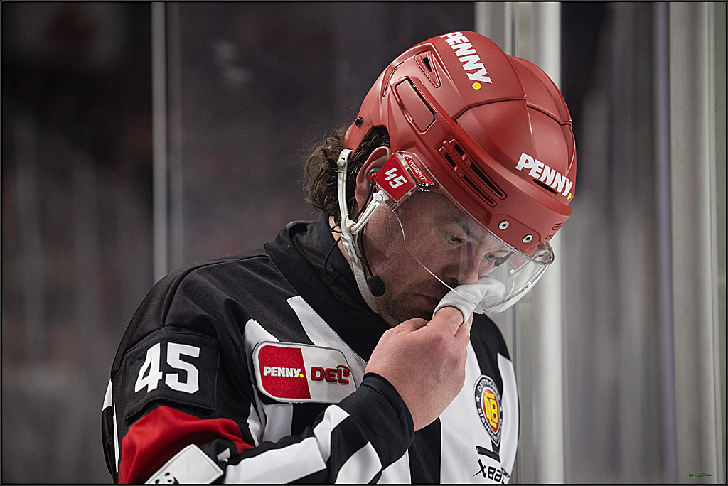 PENNY DEL 1; Kölner Haie - Nürnberg Ice Tigers; Köln, 25.01.2026