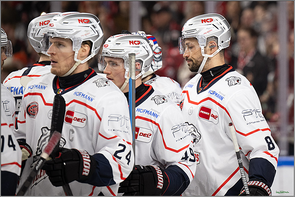 PENNY DEL 1; Kölner Haie - Nürnberg Ice Tigers; Köln, 25.01.2026