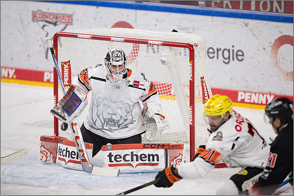 PENNY DEL 1; Kölner Haie - Löwen Frankfurt ; Köln, 27.01.2026