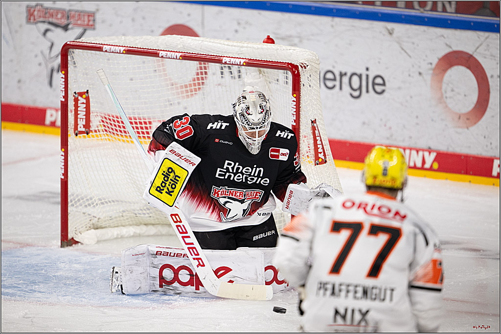 PENNY DEL 1; Kölner Haie - Löwen Frankfurt ; Köln, 27.01.2026