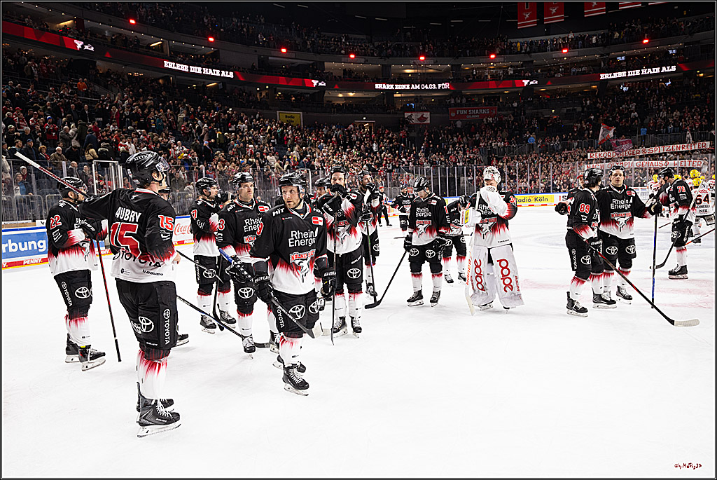 PENNY DEL 1; Kölner Haie - Löwen Frankfurt ; Köln, 27.01.2026