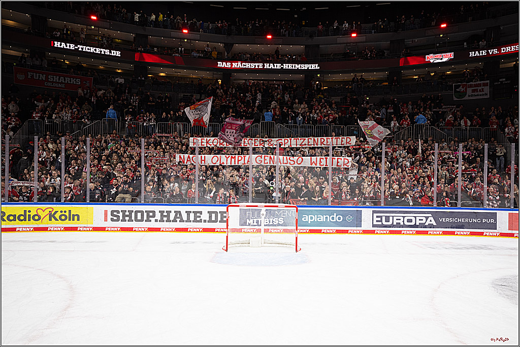 PENNY DEL 1; Kölner Haie - Löwen Frankfurt ; Köln, 27.01.2026