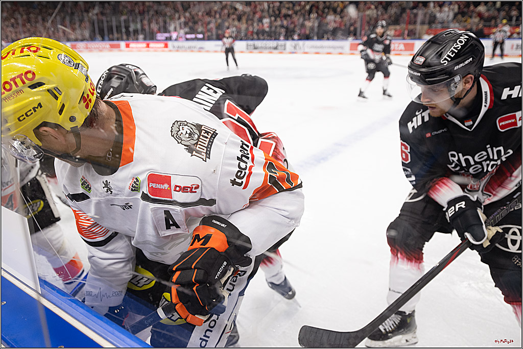 PENNY DEL 1; Kölner Haie - Löwen Frankfurt ; Köln, 27.01.2026