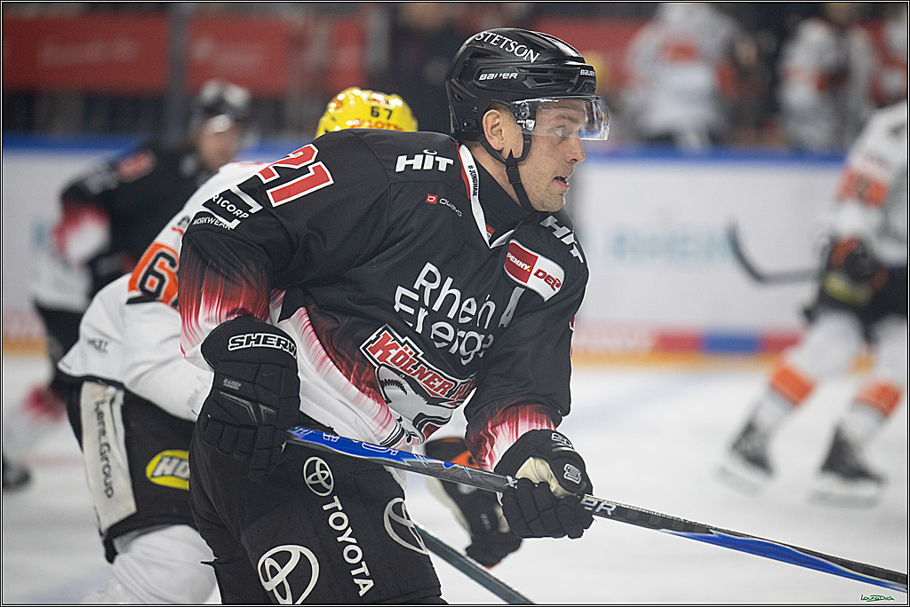 PENNY DEL 1; Kölner Haie - Löwen Frankfurt; Köln, 27.01.2026