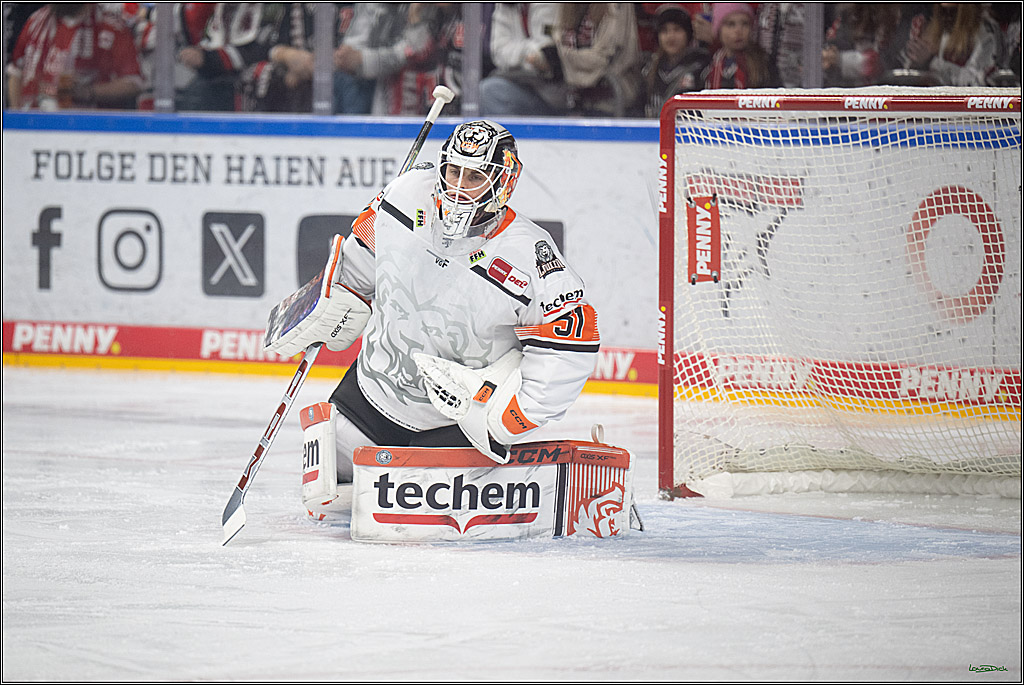 PENNY DEL 1; Kölner Haie - Löwen Frankfurt; Köln, 27.01.2026