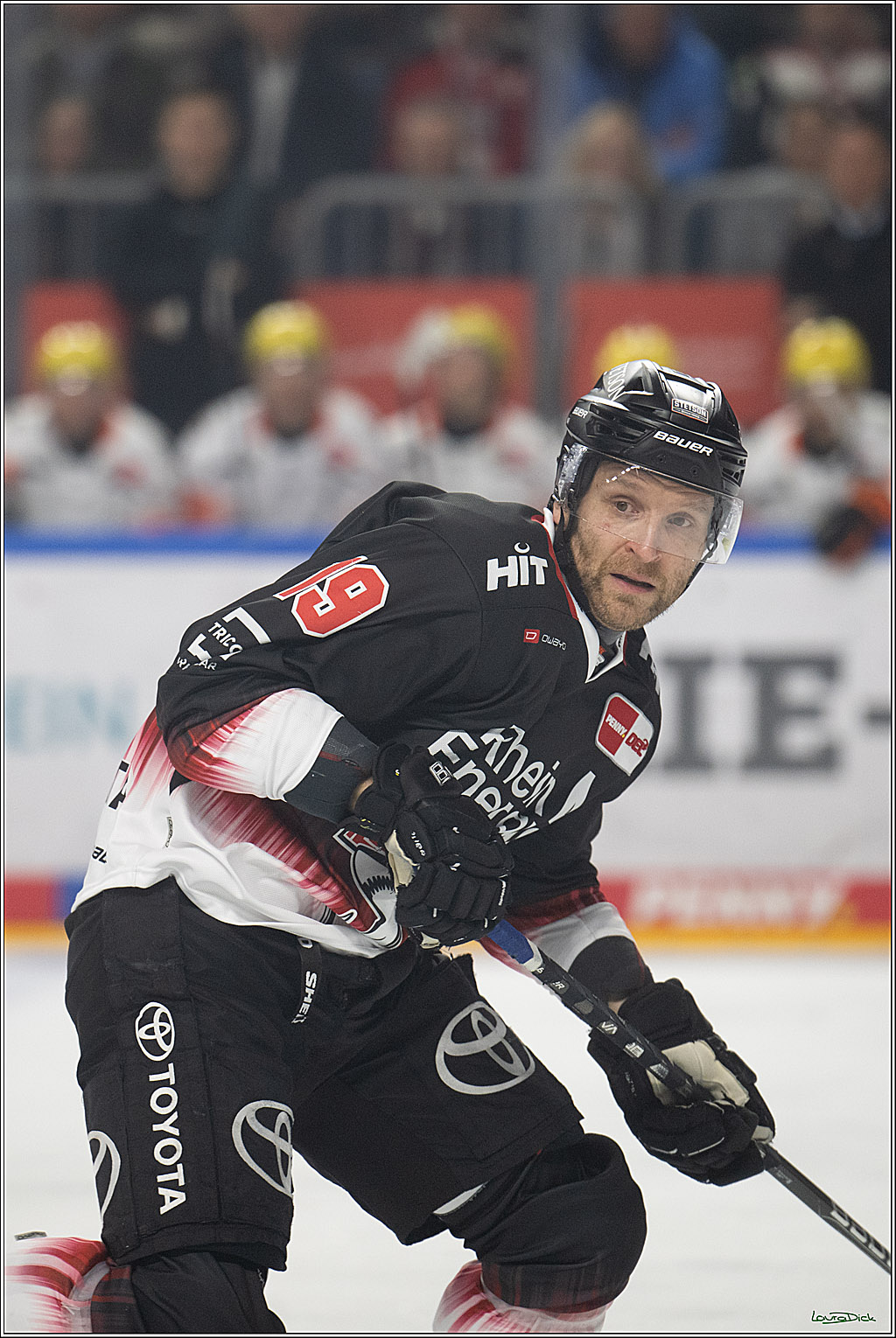 PENNY DEL 1; Kölner Haie - Löwen Frankfurt; Köln, 27.01.2026