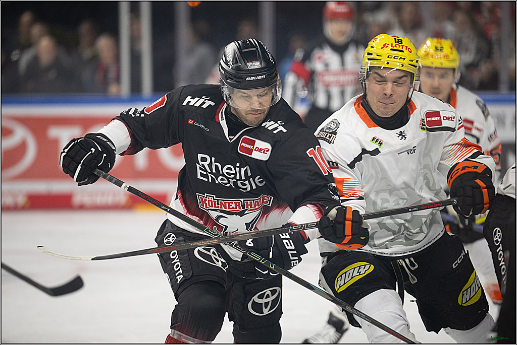 PENNY DEL 1; Kölner Haie - Löwen Frankfurt; Köln, 27.01.2026