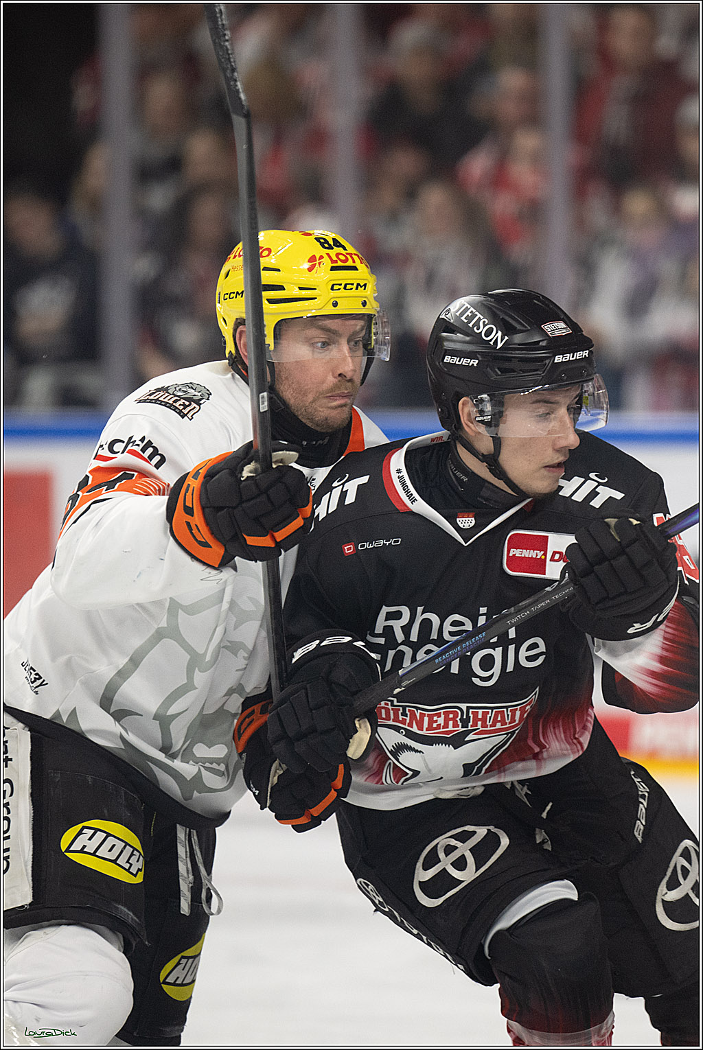 PENNY DEL 1; Kölner Haie - Löwen Frankfurt; Köln, 27.01.2026