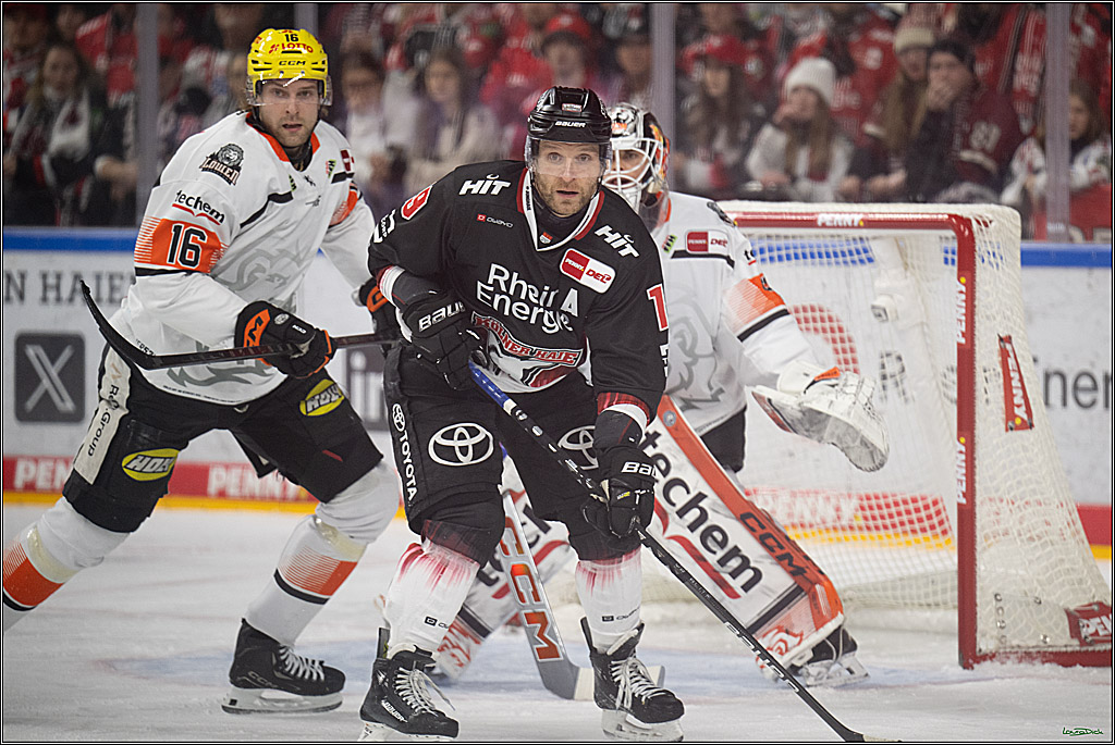 PENNY DEL 1; Kölner Haie - Löwen Frankfurt; Köln, 27.01.2026