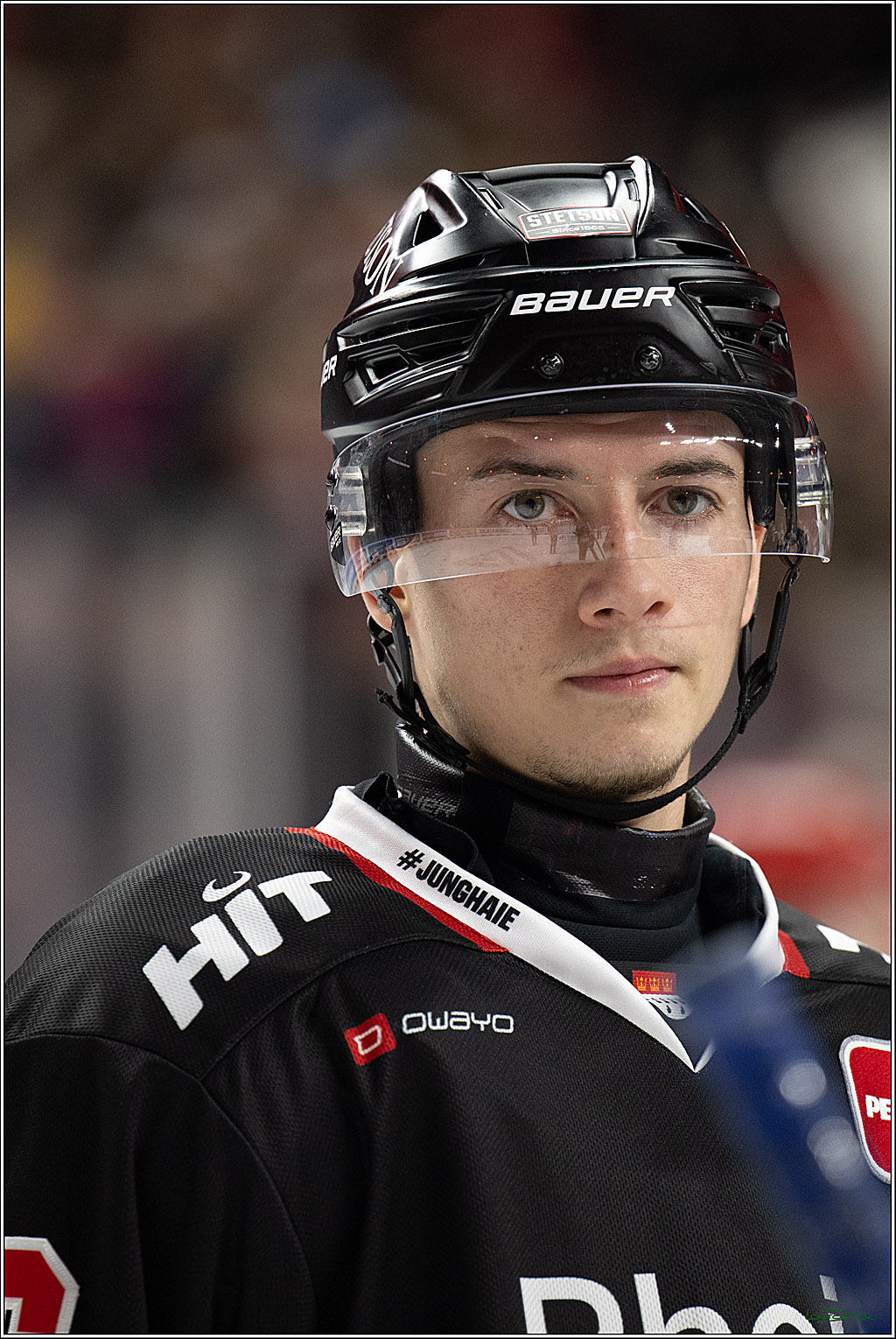 PENNY DEL 1; Kölner Haie - Löwen Frankfurt; Köln, 27.01.2026