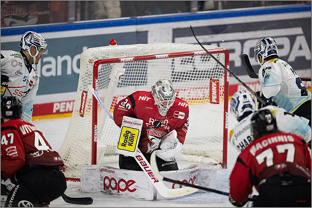 PENNY DEL 1; Kölner Haie - Dresdner Eislöwen; Köln, 25.02.2026