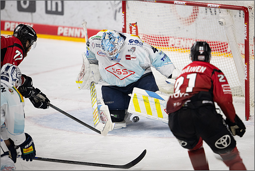 PENNY DEL 1; Kölner Haie - Dresdner Eislöwen; Köln, 25.02.2026