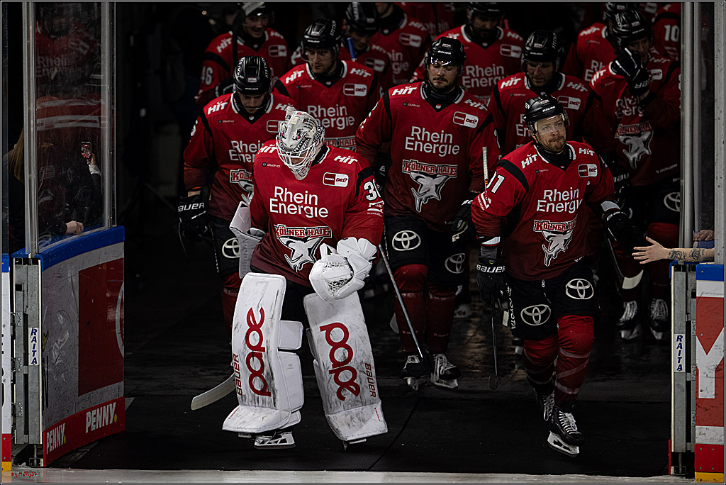 PENNY DEL 1; Kölner Haie - Dresdner Eislöwen; Köln, 25.02.2026