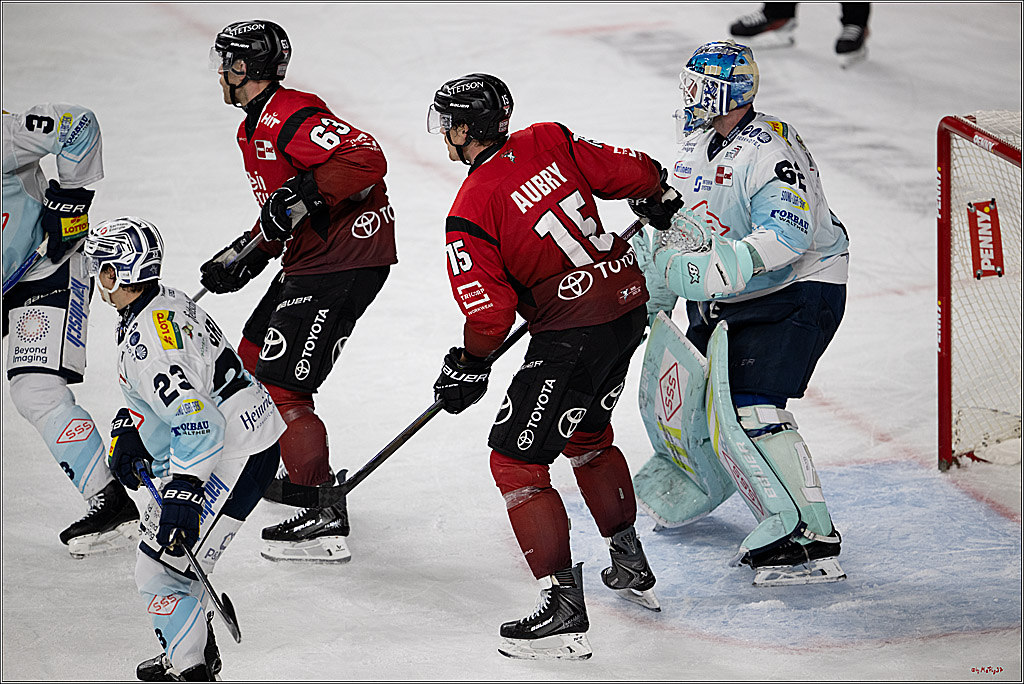 PENNY DEL 1; Kölner Haie - Dresdner Eislöwen; Köln, 25.02.2026