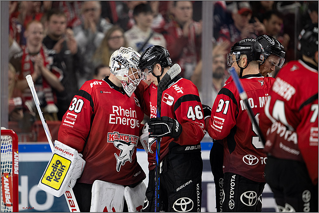 PENNY DEL 1; Kölner Haie - Dresdner Eislöwen; Köln, 25.02.2026