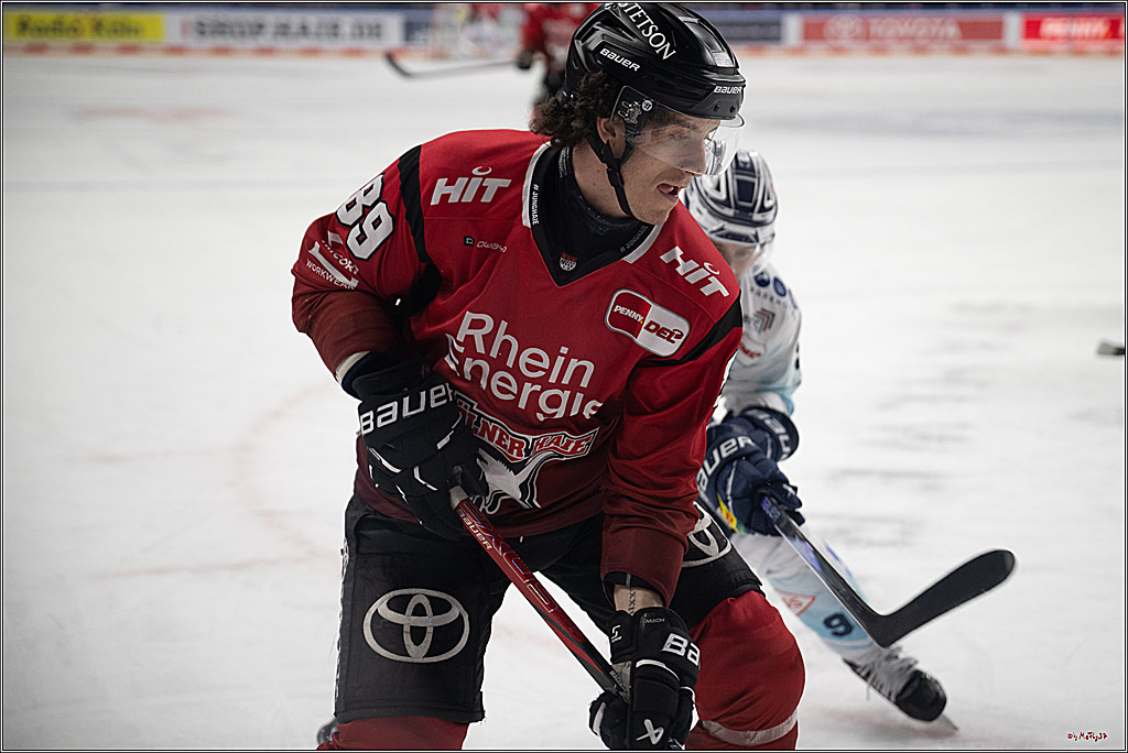 PENNY DEL 1; Kölner Haie - Dresdner Eislöwen; Köln, 25.02.2026