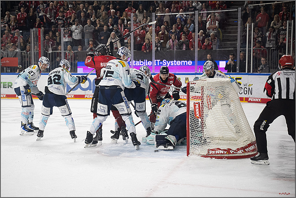 PENNY DEL 1; Kölner Haie - Dresdner Eislöwen; Köln, 25.02.2026