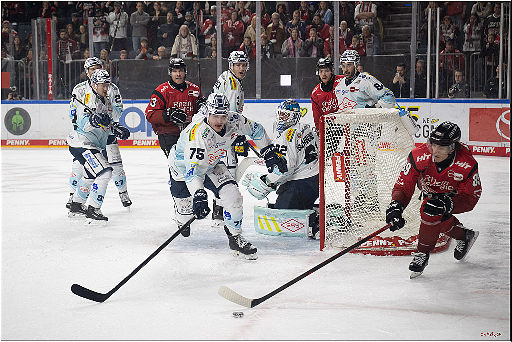 PENNY DEL 1; Kölner Haie - Dresdner Eislöwen; Köln, 25.02.2026
