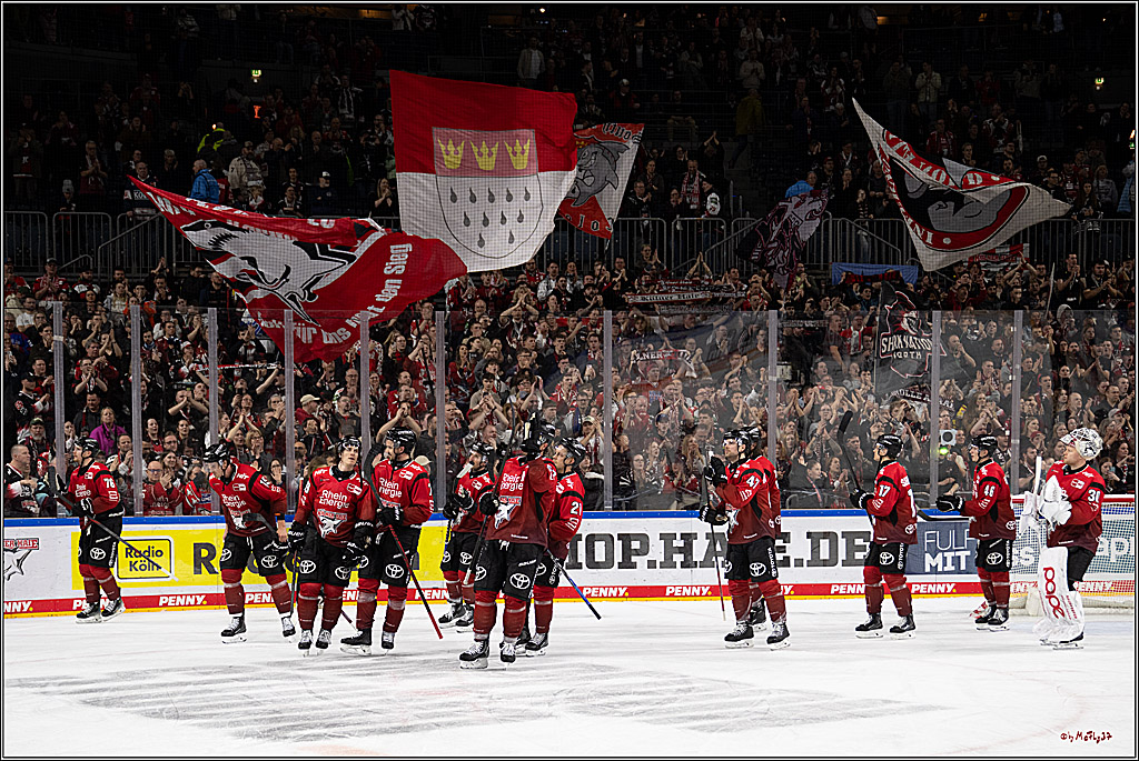 PENNY DEL 1; Kölner Haie - Dresdner Eislöwen; Köln, 25.02.2026