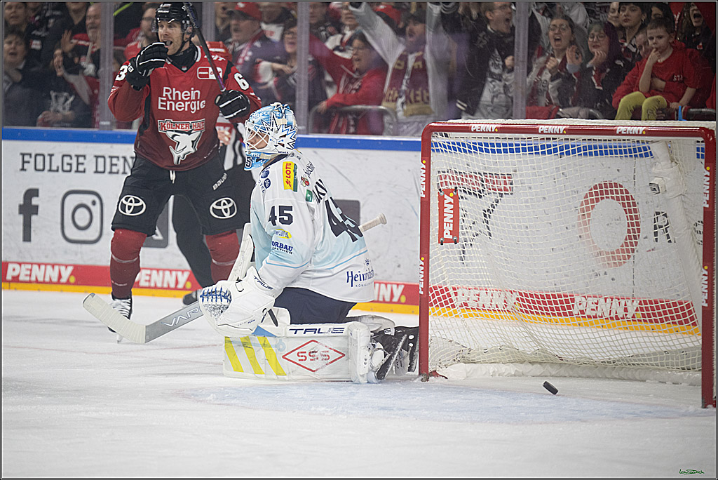 PENNY DEL 1; Kölner Haie - Dresdner Eislöwen; Köln, 25.02.2026