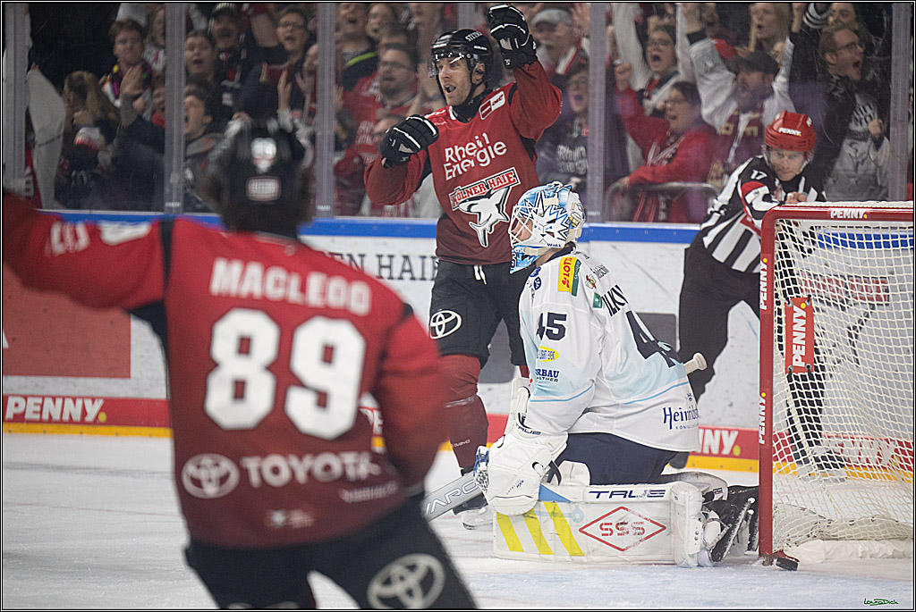 PENNY DEL 1; Kölner Haie - Dresdner Eislöwen; Köln, 25.02.2026