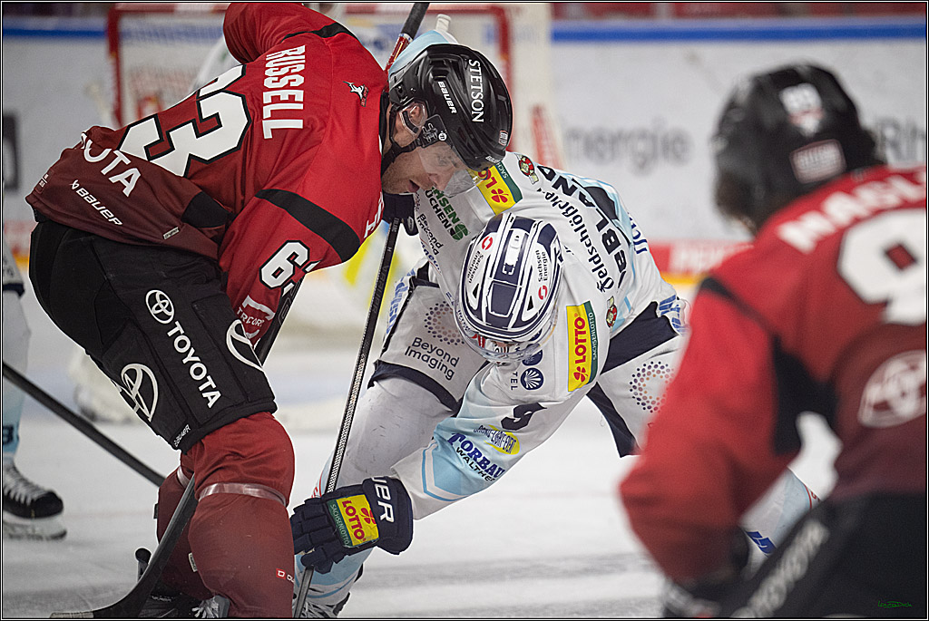 PENNY DEL 1; Kölner Haie - Dresdner Eislöwen; Köln, 25.02.2026