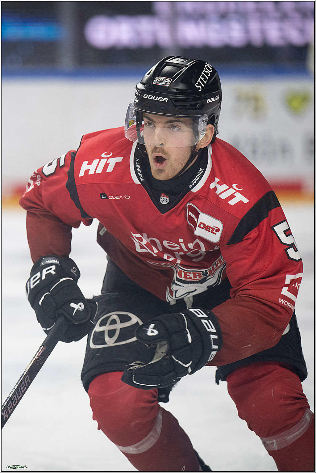 PENNY DEL 1; Kölner Haie - Dresdner Eislöwen; Köln, 25.02.2026