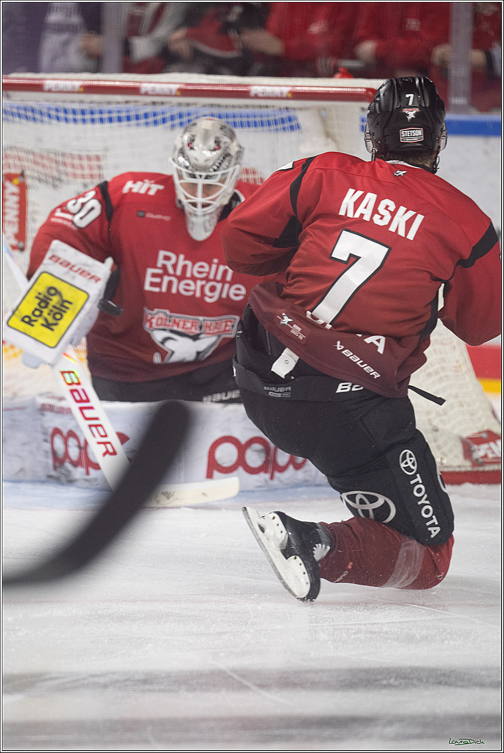 PENNY DEL 1; Kölner Haie - Dresdner Eislöwen; Köln, 25.02.2026