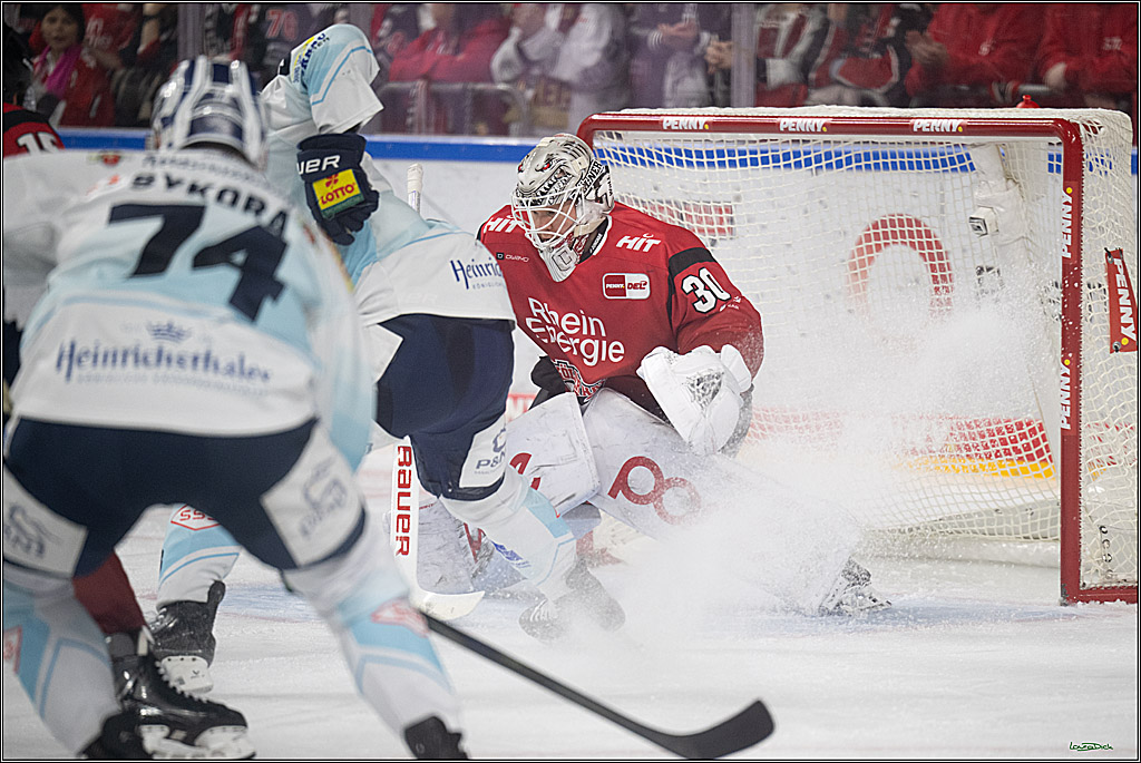 PENNY DEL 1; Kölner Haie - Dresdner Eislöwen; Köln, 25.02.2026