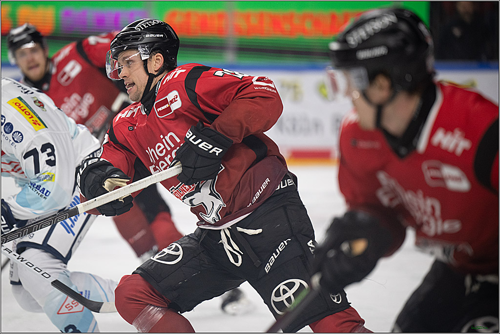 PENNY DEL 1; Kölner Haie - Dresdner Eislöwen; Köln, 25.02.2026