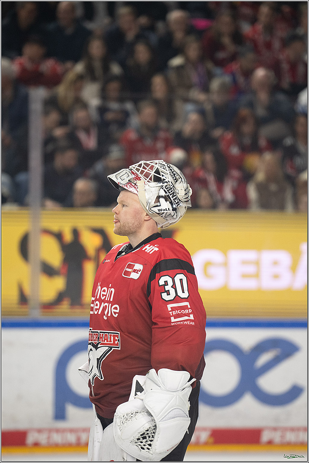 PENNY DEL 1; Kölner Haie - Dresdner Eislöwen; Köln, 25.02.2026