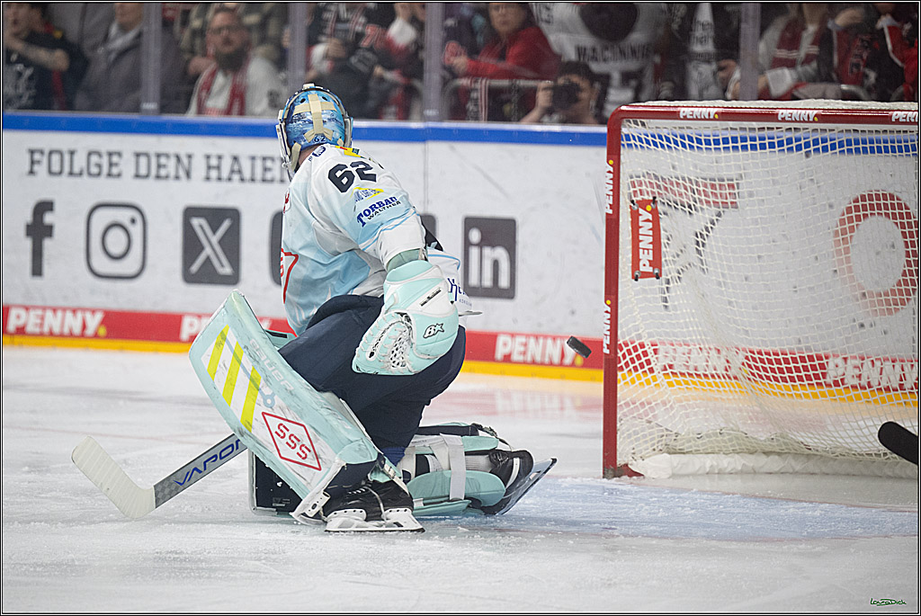 PENNY DEL 1; Kölner Haie - Dresdner Eislöwen; Köln, 25.02.2026