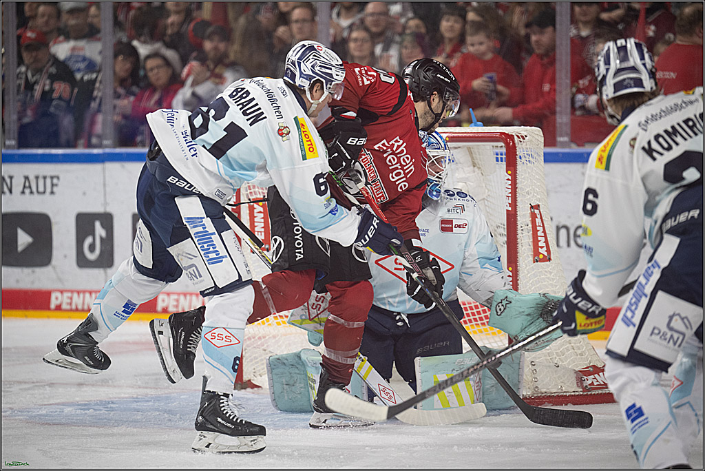 PENNY DEL 1; Kölner Haie - Dresdner Eislöwen; Köln, 25.02.2026