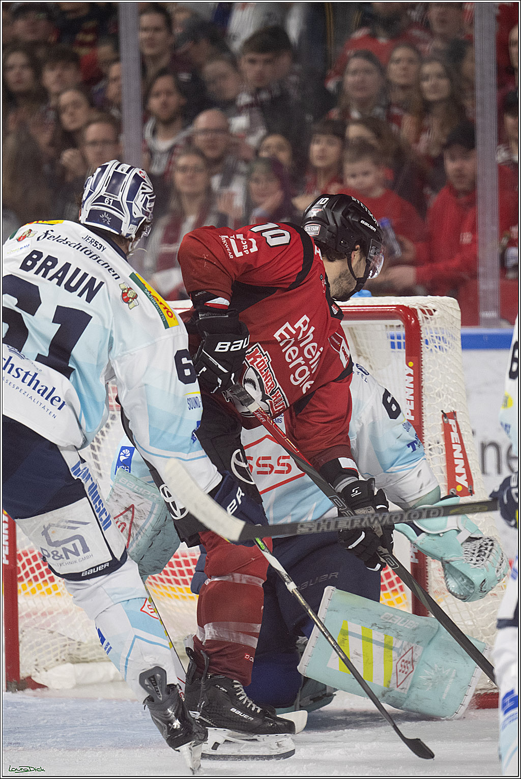 PENNY DEL 1; Kölner Haie - Dresdner Eislöwen; Köln, 25.02.2026